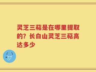 灵芝三萜是在哪里提取的？长白山灵芝三萜高达多少