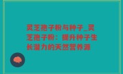 灵芝孢子粉与种子_灵芝孢子粉：提升种子生长潜力的天然营养源