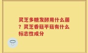 灵芝多糖发酵用什么菌？灵芝香菇平菇有什么标志性成分