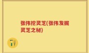 张伟挖灵芝(张伟发掘灵芝之秘)