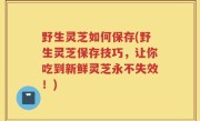 野生灵芝如何保存(野生灵芝保存技巧，让你吃到新鲜灵芝永不失效！)