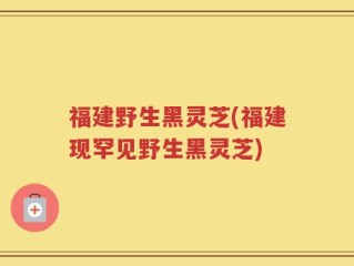 福建野生黑灵芝(福建现罕见野生黑灵芝)