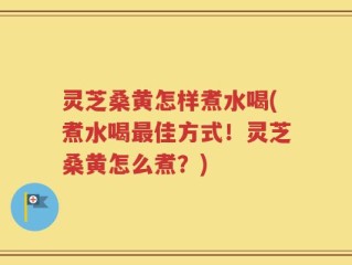 灵芝桑黄怎样煮水喝(煮水喝最佳方式！灵芝桑黄怎么煮？)