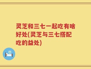 灵芝和三七一起吃有啥好处(灵芝与三七搭配吃的益处)