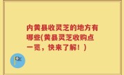 内黄县收灵芝的地方有哪些(黄县灵芝收购点一览，快来了解！)