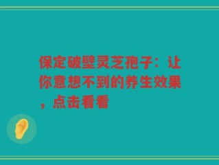 保定破壁灵芝孢子：让你意想不到的养生效果，点击看看