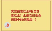 灵芝菌喜欢水吗(灵芝喜欢水？水是它们生命周期中的必需品！)