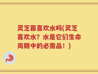 灵芝菌喜欢水吗(灵芝喜欢水？水是它们生命周期中的必需品！)