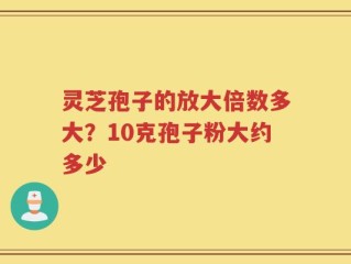 灵芝孢子的放大倍数多大？10克孢子粉大约多少