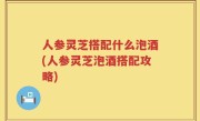 人参灵芝搭配什么泡酒(人参灵芝泡酒搭配攻略)