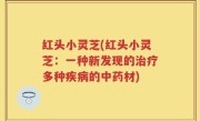 红头小灵芝(红头小灵芝：一种新发现的治疗多种疾病的中药材)