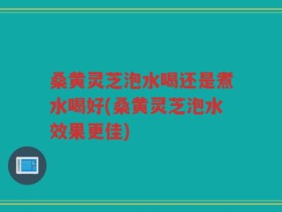 桑黄灵芝泡水喝还是煮水喝好(桑黄灵芝泡水效果更佳)