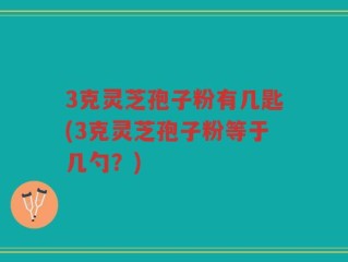 3克灵芝孢子粉有几匙(3克灵芝孢子粉等于几勺？)