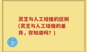 灵芝与人工培植的区别(灵芝与人工培植的差异，你知道吗？)