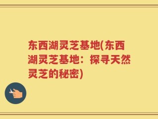 东西湖灵芝基地(东西湖灵芝基地：探寻天然灵芝的秘密)