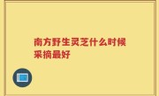 南方野生灵芝什么时候采摘最好