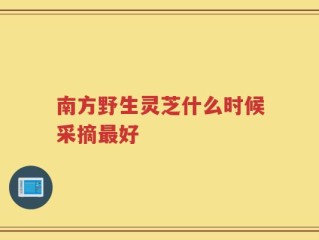 南方野生灵芝什么时候采摘最好