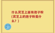 什么灵芝上面有孢子粉(灵芝上的孢子粉是什么？)