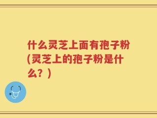 什么灵芝上面有孢子粉(灵芝上的孢子粉是什么？)