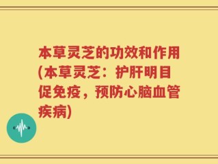 本草灵芝的功效和作用(本草灵芝：护肝明目促免疫，预防心脑血管疾病)