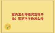 室内怎么种植灵芝孢子油？灵芝孢子粉怎么种
