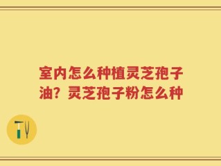 室内怎么种植灵芝孢子油？灵芝孢子粉怎么种