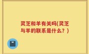 灵芝和羊有关吗(灵芝与羊的联系是什么？)