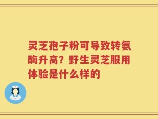 灵芝孢子粉可导致转氨酶升高？野生灵芝服用体验是什么样的