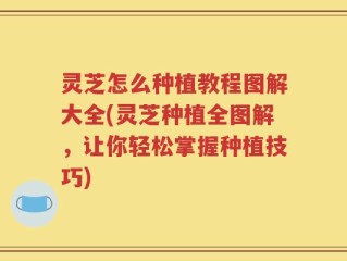 灵芝怎么种植教程图解大全(灵芝种植全图解，让你轻松掌握种植技巧)