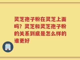 灵芝孢子粉在灵芝上面吗？灵芝和灵芝孢子粉的关系到底是怎么样的谁更好
