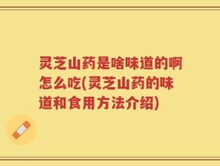 灵芝山药是啥味道的啊怎么吃(灵芝山药的味道和食用方法介绍)