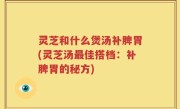 灵芝和什么煲汤补脾胃(灵芝汤最佳搭档：补脾胃的秘方)