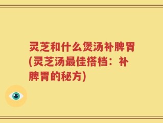 灵芝和什么煲汤补脾胃(灵芝汤最佳搭档：补脾胃的秘方)