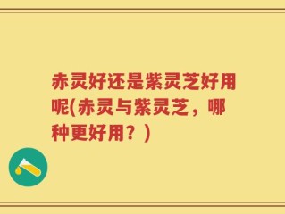 赤灵好还是紫灵芝好用呢(赤灵与紫灵芝，哪种更好用？)