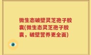 微生态破壁灵芝孢子胶囊(微生态灵芝孢子胶囊，破壁营养更全面)