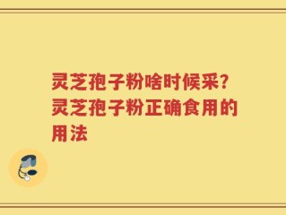 灵芝孢子粉啥时候采？灵芝孢子粉正确食用的用法