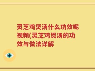 灵芝鸡煲汤什么功效呢视频(灵芝鸡煲汤的功效与做法详解
