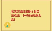 老灵芝底坐图片(老灵芝底坐：神奇的健康食品)