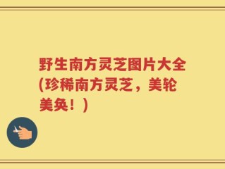 野生南方灵芝图片大全(珍稀南方灵芝，美轮美奂！)