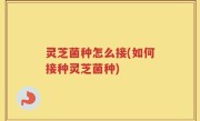 灵芝菌种怎么接(如何接种灵芝菌种)