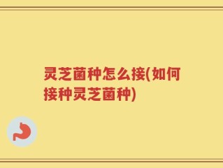 灵芝菌种怎么接(如何接种灵芝菌种)