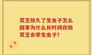 灵芝放久了生虫子怎么回事为什么长时间存放灵芝会孳生虫子？