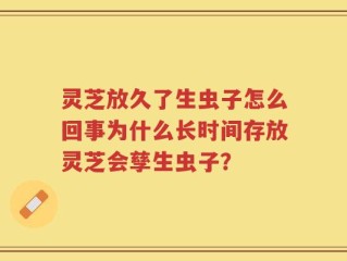 灵芝放久了生虫子怎么回事为什么长时间存放灵芝会孳生虫子？