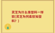 灵芝为什么像塑料一样软(灵芝为何柔软如塑料？)