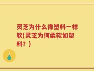 灵芝为什么像塑料一样软(灵芝为何柔软如塑料？)