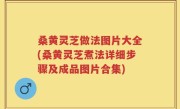 桑黄灵芝做法图片大全(桑黄灵芝煮法详细步骤及成品图片合集)