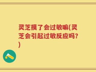 灵芝摸了会过敏嘛(灵芝会引起过敏反应吗？)