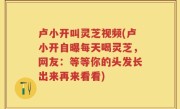 卢小开叫灵芝视频(卢小开自曝每天喝灵芝，网友：等等你的头发长出来再来看看)