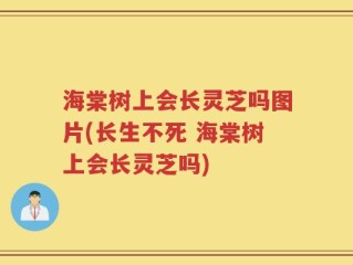 海棠树上会长灵芝吗图片(长生不死 海棠树上会长灵芝吗)