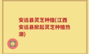 安远县灵芝种植(江西安远县掀起灵芝种植热潮)